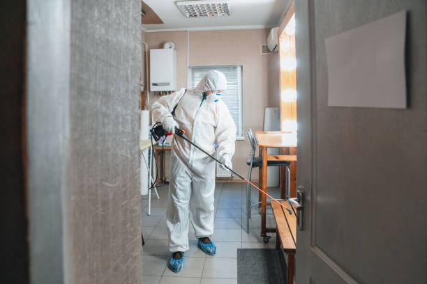 Best Commercial Mold Inspection  in Denver, PA