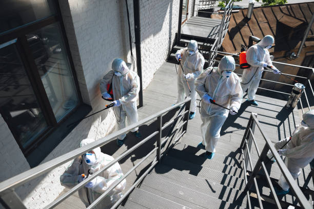 Best Residential Mold Inspection & Testing  in Denver, PA