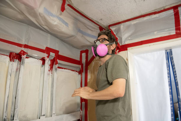 Best Mold Damage Restoration  in Denver, PA
