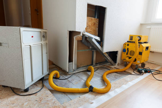 Best Dehumidification Services  in Denver, PA